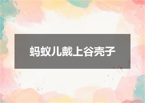 蚂蚁儿戴上谷壳子