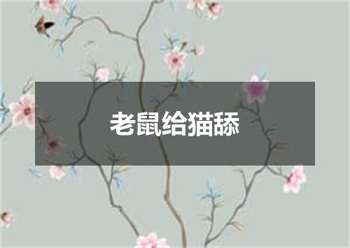 老鼠给猫舔