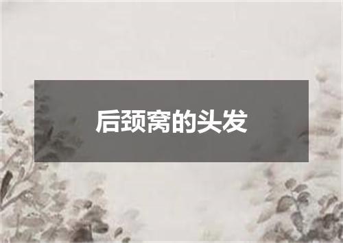 后颈窝的头发