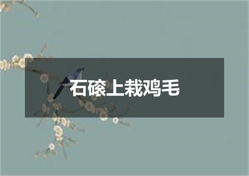 石磙上栽鸡毛