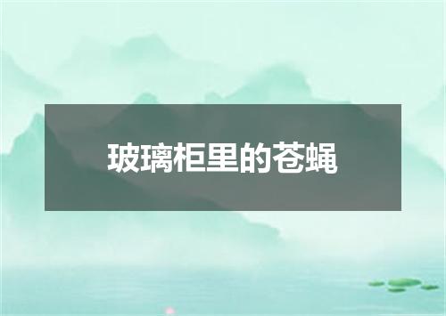 玻璃柜里的苍蝇