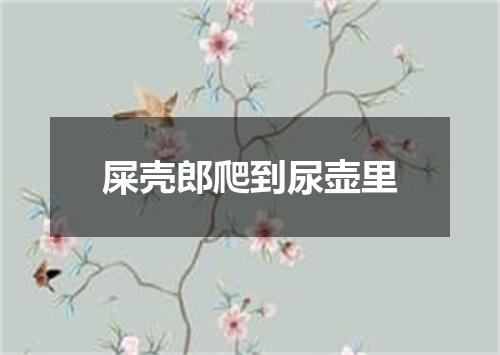 屎壳郎爬到尿壶里