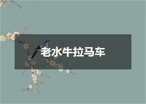 老水牛拉马车