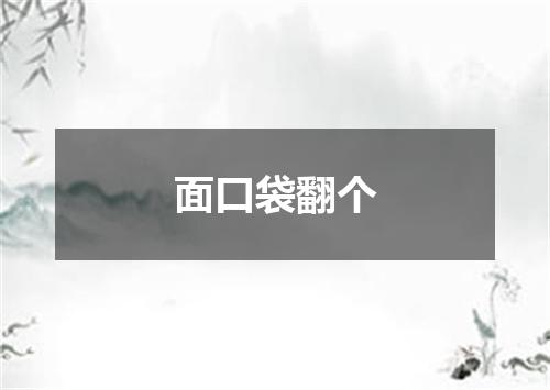 面口袋翻个