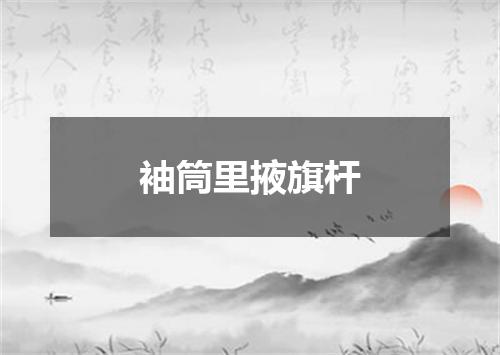 袖筒里掖旗杆