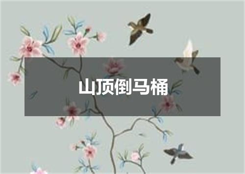 山顶倒马桶