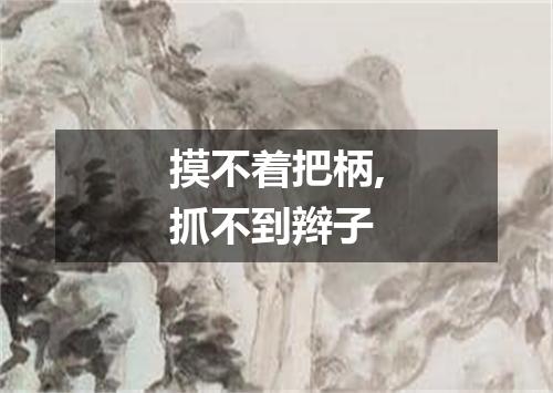 摸不着把柄,抓不到辫子