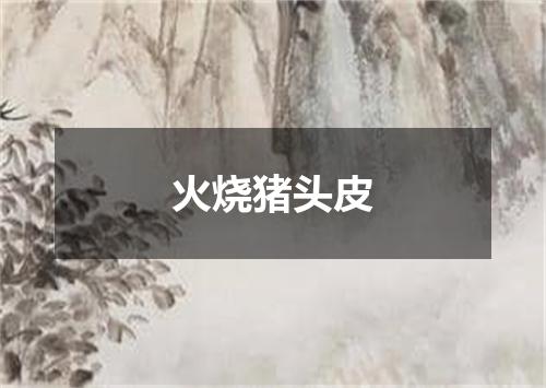 火烧猪头皮