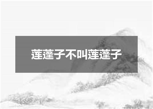 莲蓬子不叫莲蓬子