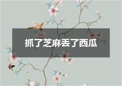 抓了芝麻丢了西瓜