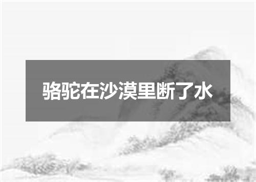 骆驼在沙漠里断了水