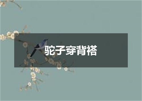 驼子穿背褡