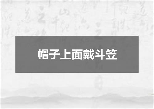 帽子上面戴斗笠