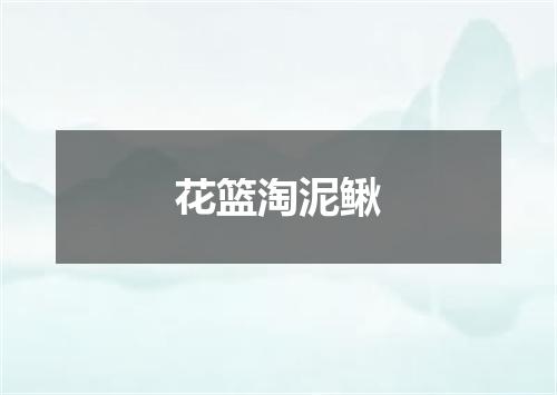 花篮淘泥鳅