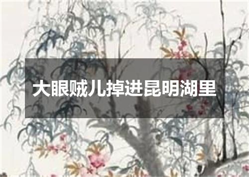 大眼贼儿掉进昆明湖里