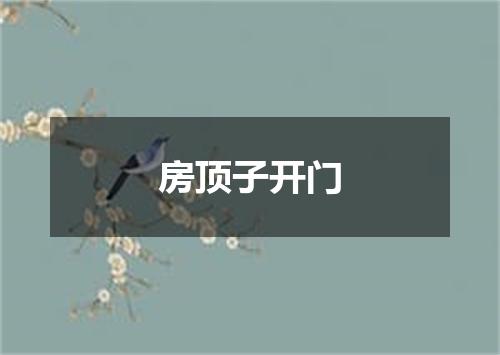 房顶子开门