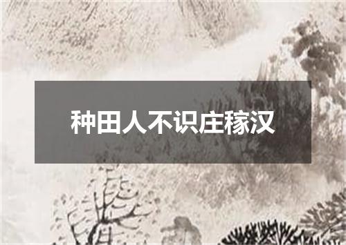 种田人不识庄稼汉