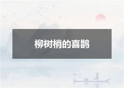 柳树梢的喜鹊