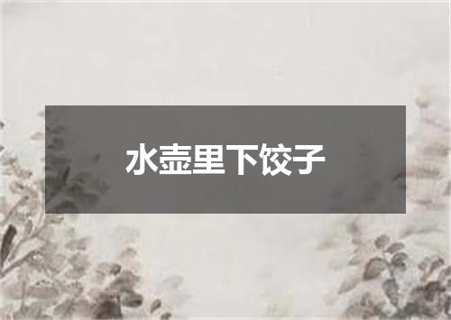 水壶里下饺子