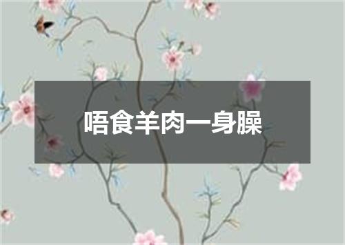 唔食羊肉一身臊