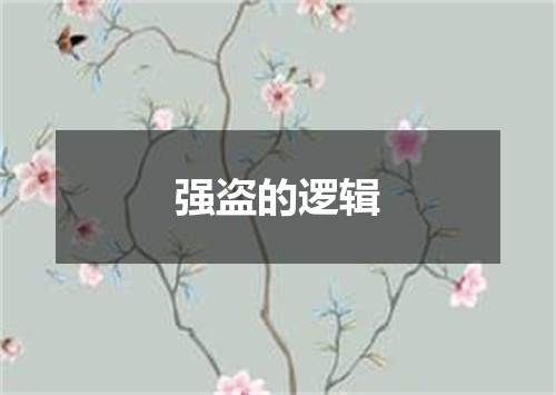 强盗的逻辑