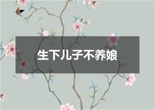 生下儿子不养娘