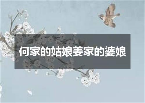 何家的姑娘姜家的婆娘