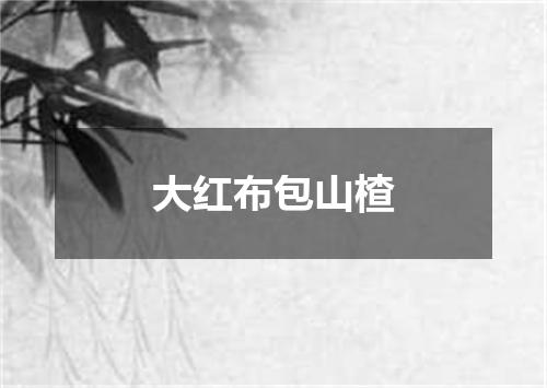 大红布包山楂