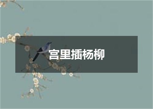 宫里插杨柳