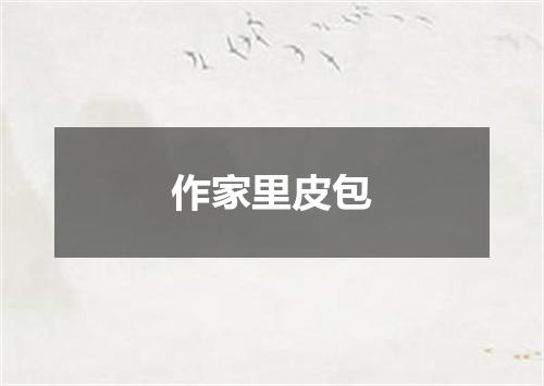 作家里皮包