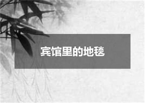 宾馆里的地毯