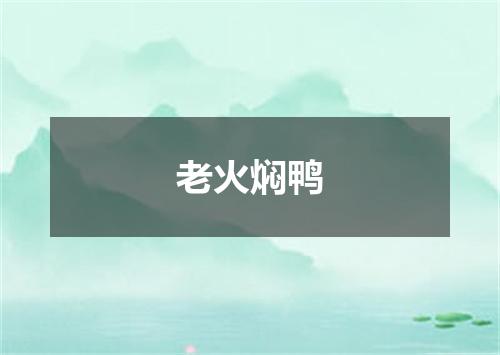 老火焖鸭