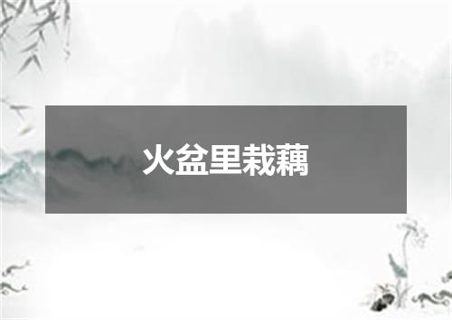 火盆里栽藕