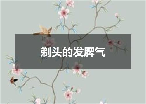 剃头的发脾气