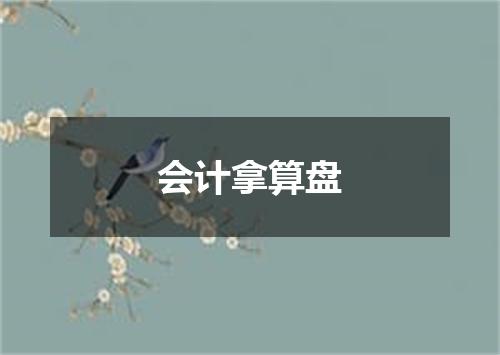 会计拿算盘