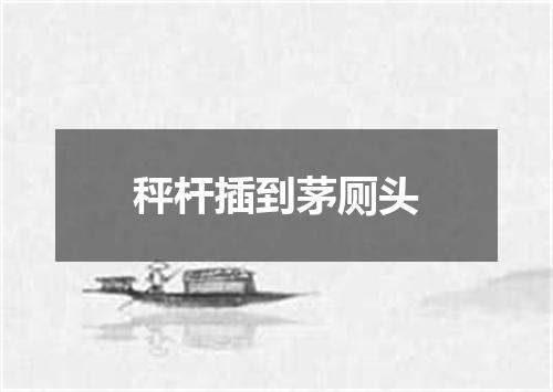 秤杆插到茅厕头