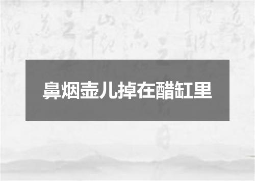 鼻烟壶儿掉在醋缸里