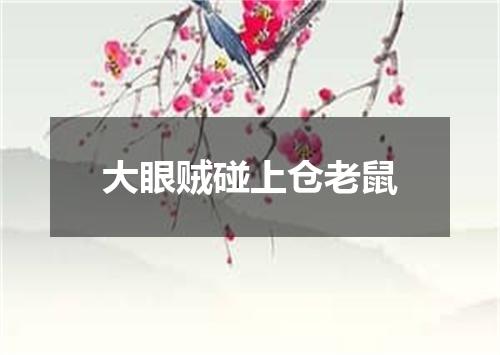大眼贼碰上仓老鼠
