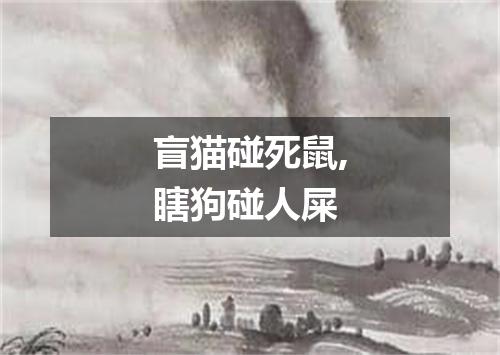 盲猫碰死鼠,瞎狗碰人屎