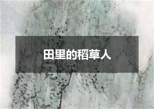 田里的稻草人