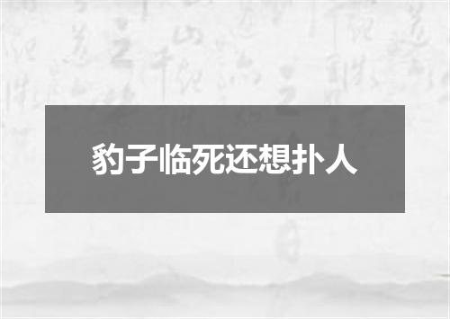 豹子临死还想扑人