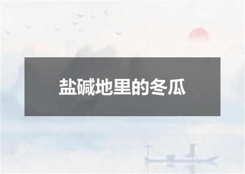 盐碱地里的冬瓜
