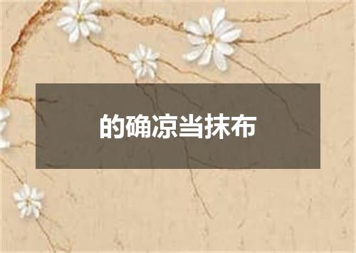 的确凉当抹布