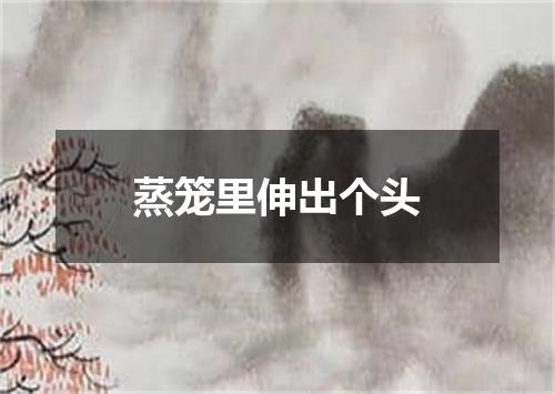 蒸笼里伸出个头
