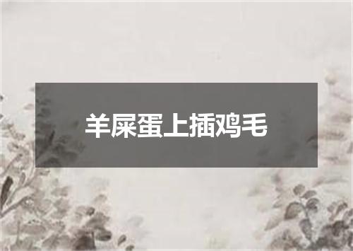 羊屎蛋上插鸡毛