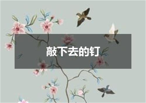 敲下去的钉