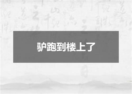 驴跑到楼上了
