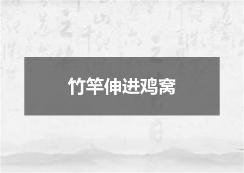 竹竿伸进鸡窝