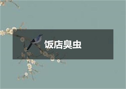 饭店臭虫