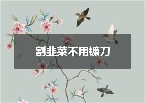 割韭菜不用镰刀